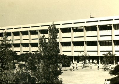 1955